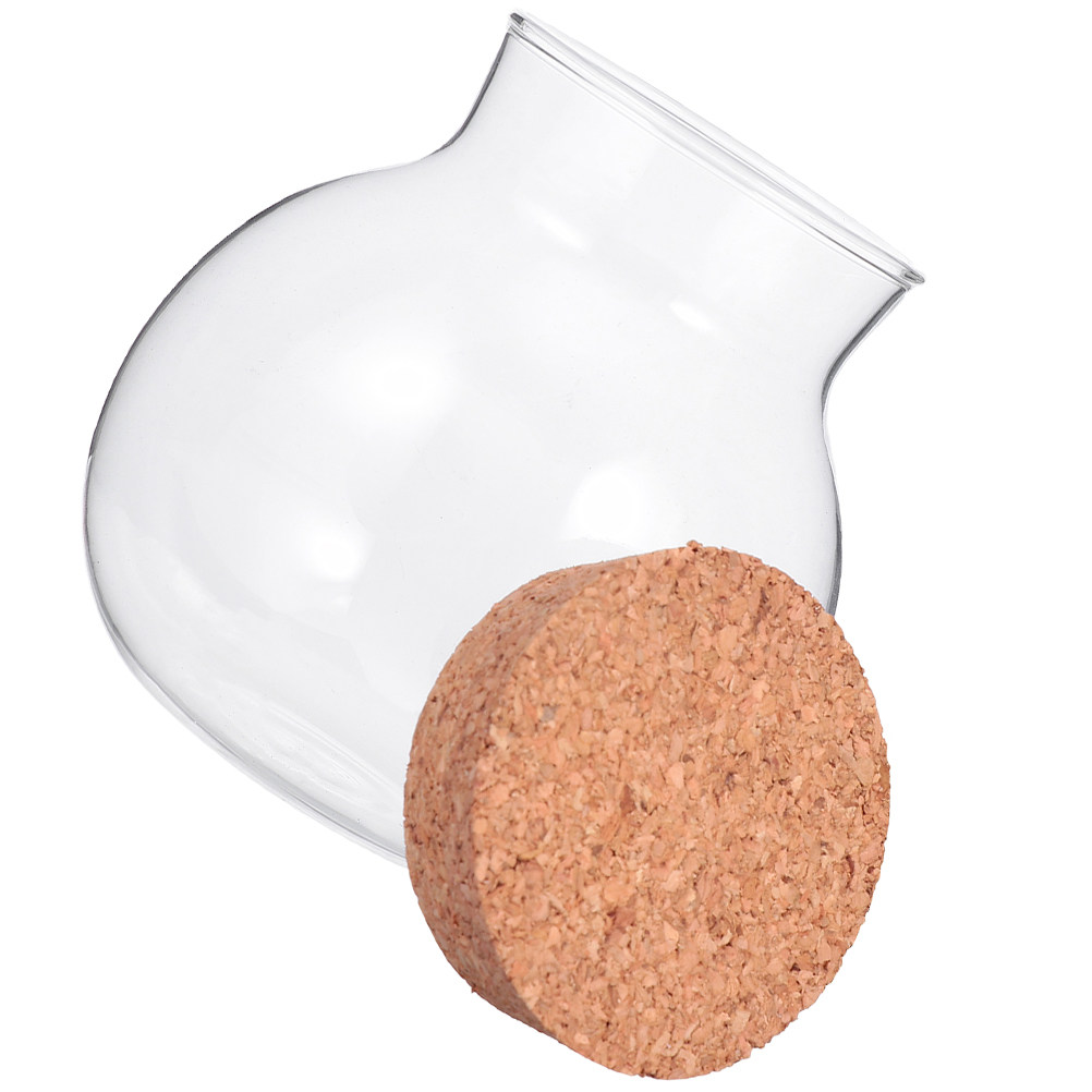 Masif Ahşap Kapaklı ve Mantar  - Food Storage Jar Glass incelemesi ve fiyatı