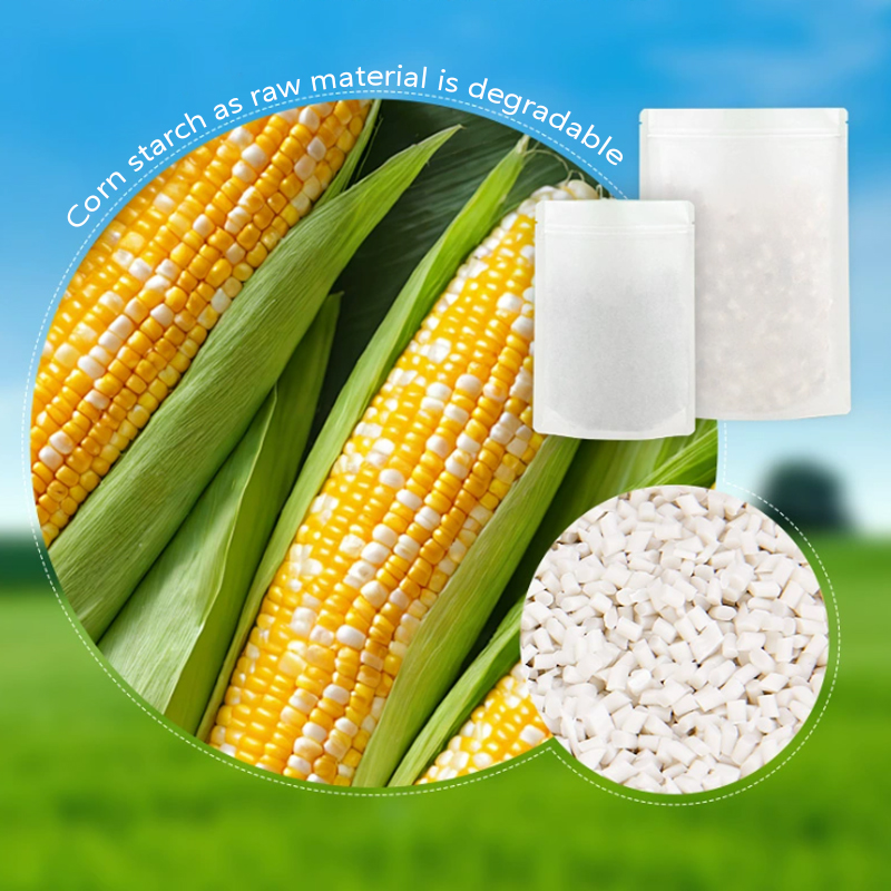 Özelleştirilmiş Biyobozunur Kr - Zebra Food Storage incelemesi ve fiyatı